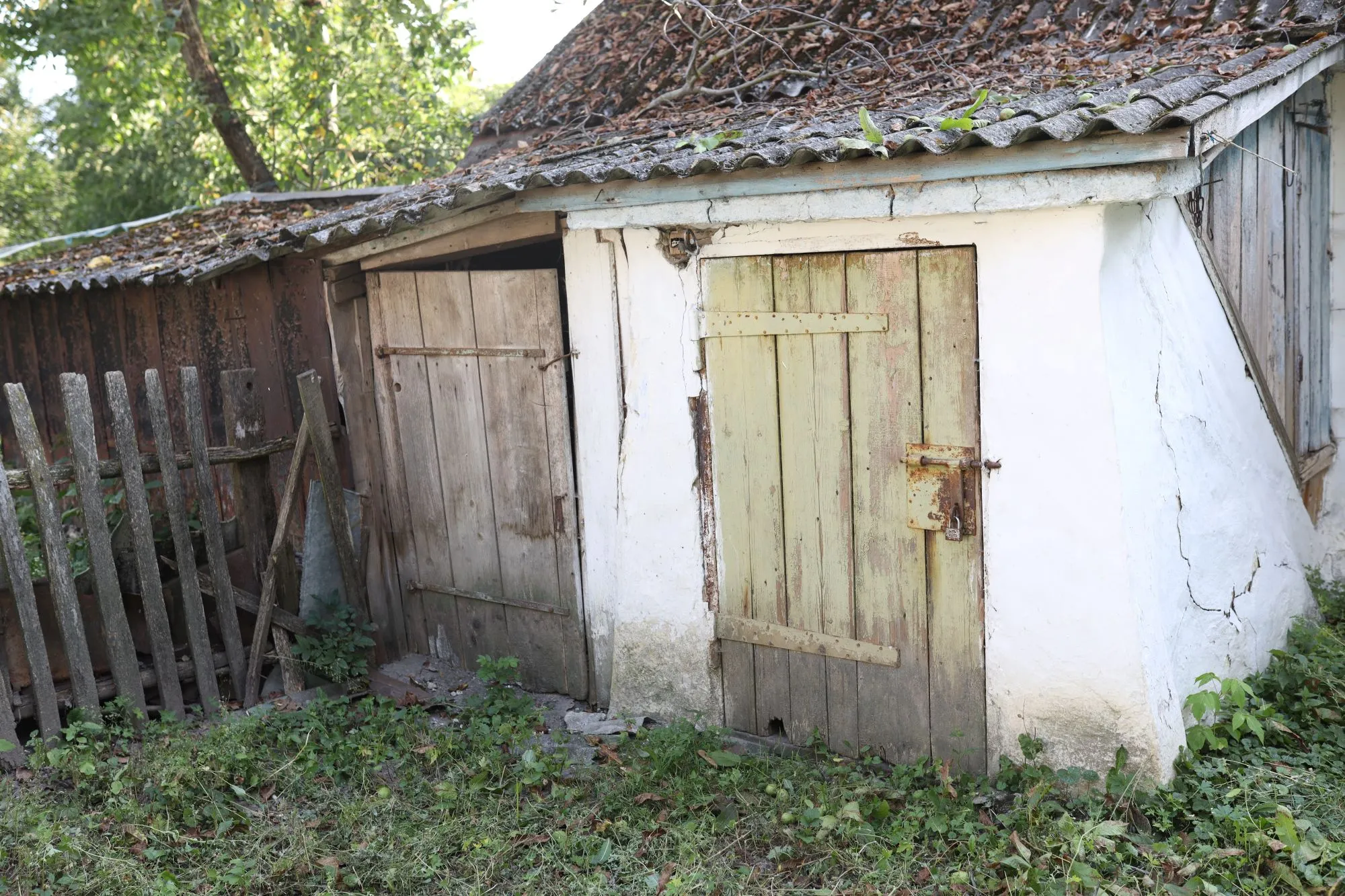 Old shed showing signs of damage before repair or replacement decision